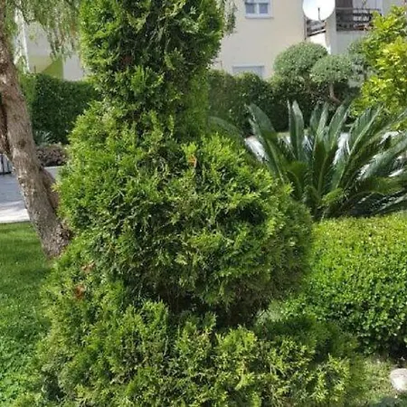 Apartament Calypso Royal