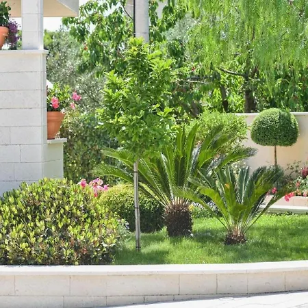 Calypso Royal * زادار