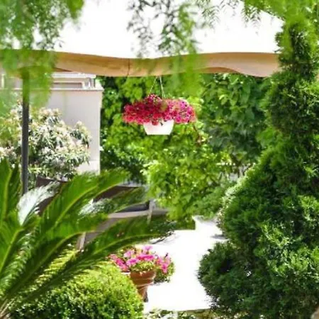 Calypso Royal * زادار