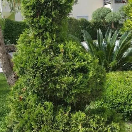 Calypso Royal 公寓 *