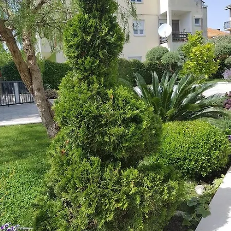 Calypso Royal شقة