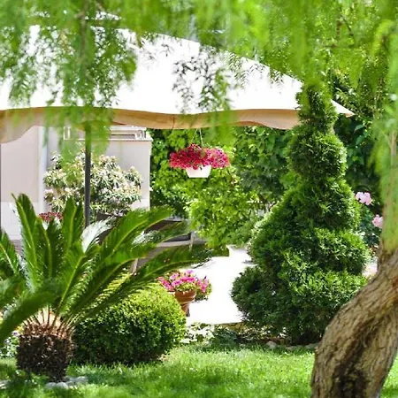 Calypso Royal شقة