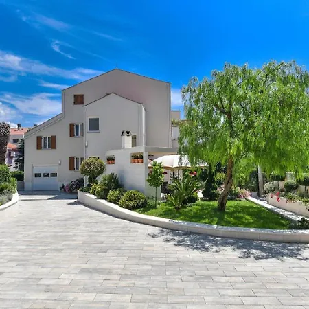 Calypso Royal * 扎达尔