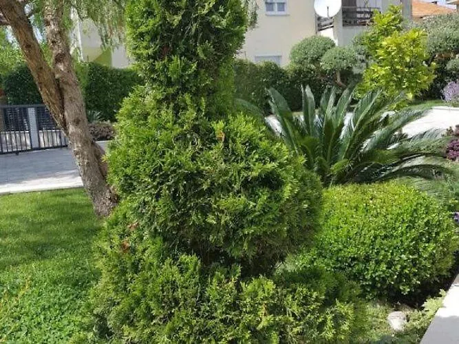 아파트 Calypso Royal