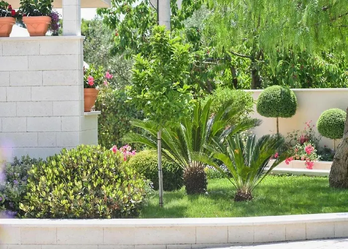 Calypso Royal * 자다르