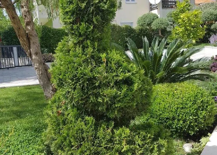 Calypso Royal 아파트